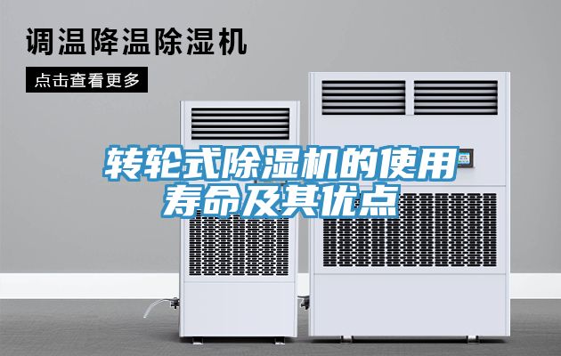 轉輪式91看片网站的使用壽命及其優點