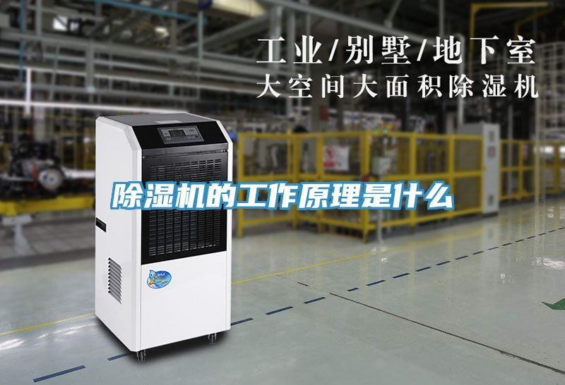 91看片网站的工作原理是什麽