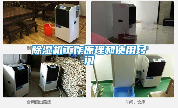 91看片网站工作原理和使用竅門