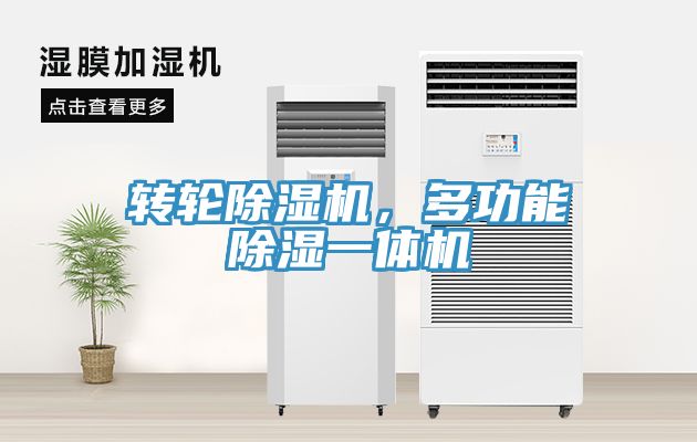 轉輪91看片网站，多功能除濕一體機