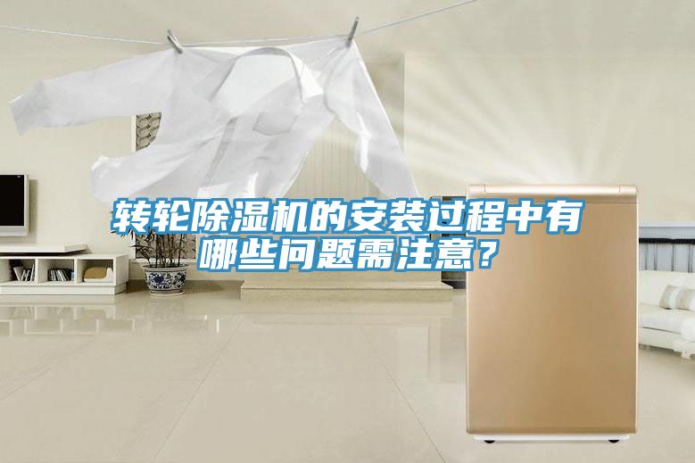 轉輪91看片网站的安裝過程中有哪些問題需注意？