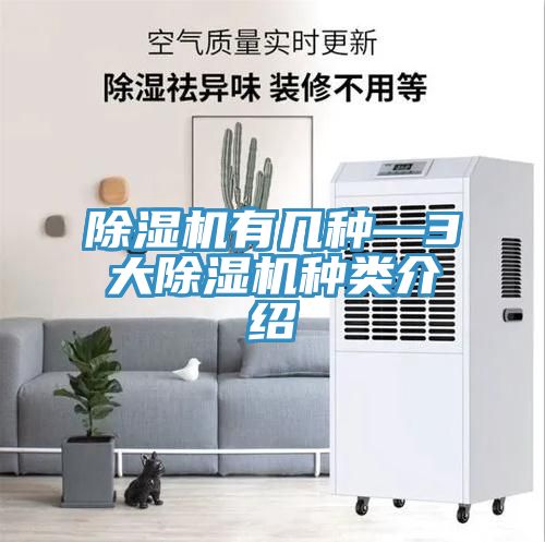 91看片网站有幾種—3大91看片网站種類介紹