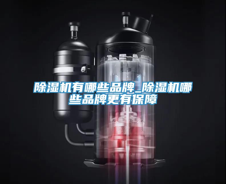 91看片网站有哪些品牌_91看片网站哪些品牌更有保障