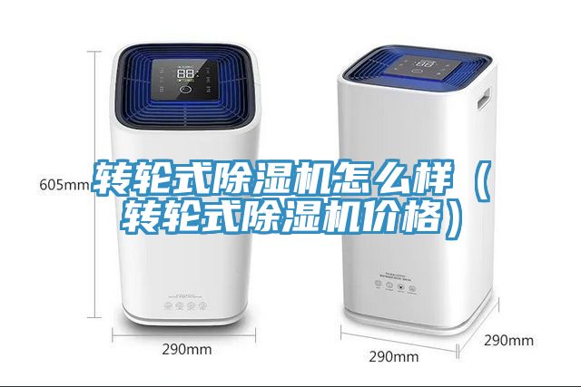 轉輪式91看片网站怎麽樣（轉輪式91看片网站價格）
