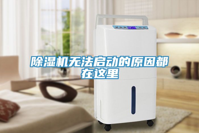 91看片网站無法啟動的原因都在這裏