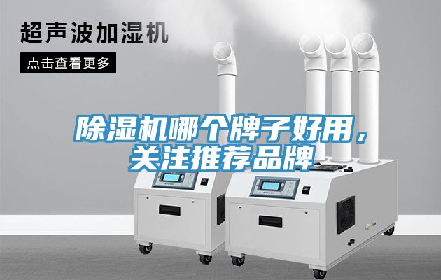 91看片网站哪個牌子好用，關注推薦品牌