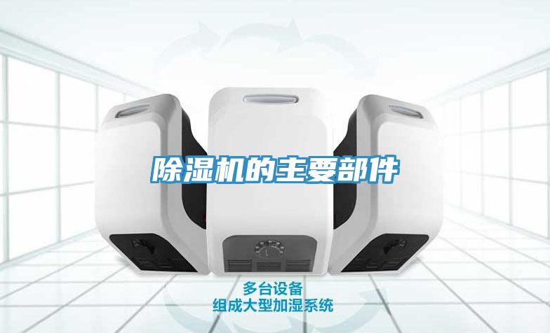 91看片网站的主要部件