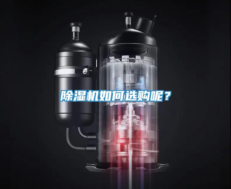 91看片网站如何選購呢？