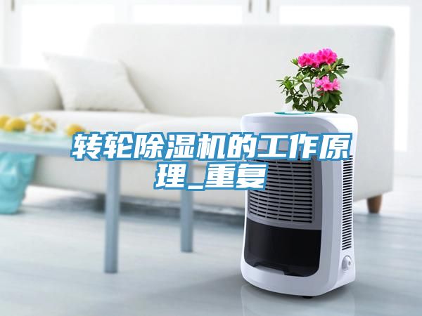 轉輪91看片网站的工作原理_重複