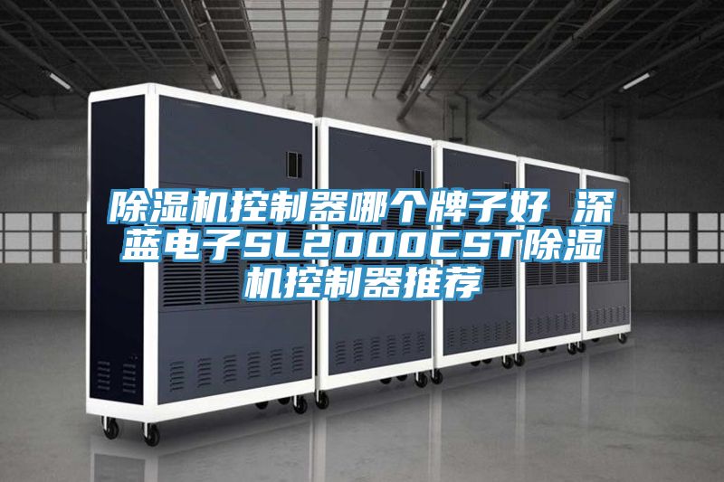 91看片网站控製器哪個牌子好 深藍電子SL2000CST91看片网站控製器推薦