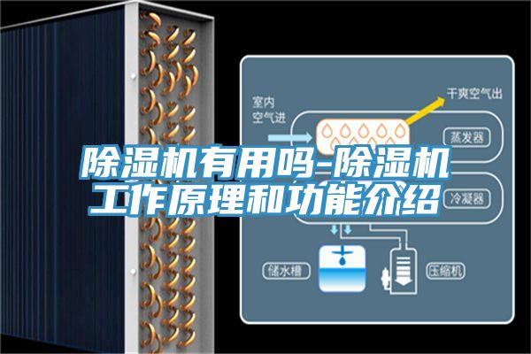 91看片网站有用嗎-91看片网站工作原理和功能介紹