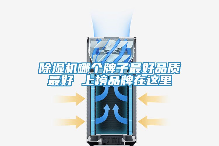 91看片网站哪個牌子最好品質最好 上榜品牌在這裏