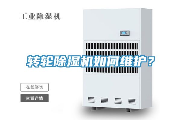 轉輪91看片网站如何維護？