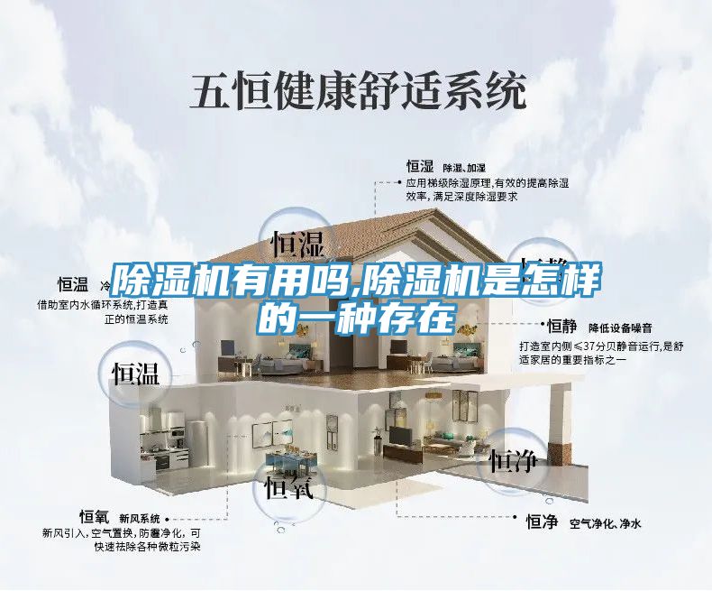 91看片网站有用嗎,91看片网站是怎樣的一種存在