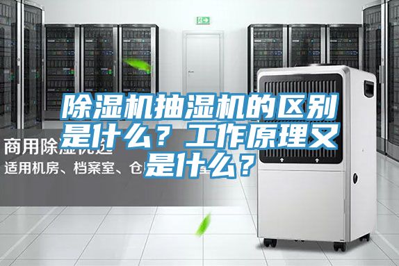 91看片网站抽濕機的區別是什麽？工作原理又是什麽？