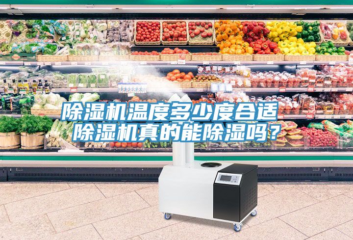 91看片网站溫度多少度合適 91看片网站真的能除濕嗎？
