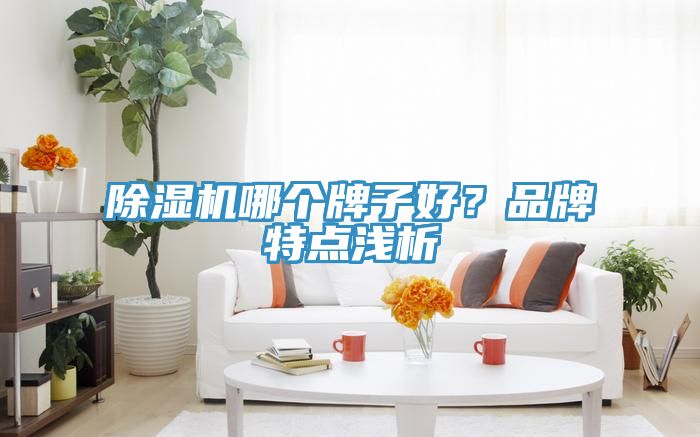 91看片网站哪個牌子好？品牌特點淺析