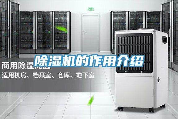 91看片网站的作用介紹