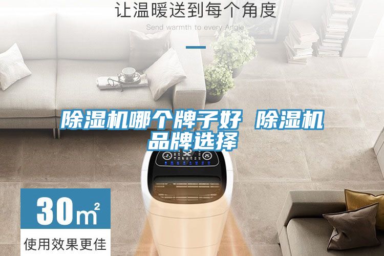 91看片网站哪個牌子好 91看片网站品牌選擇