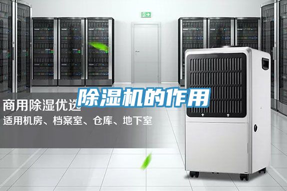 91看片网站的作用