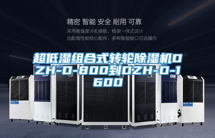 超低濕組合式轉輪91看片网站DZH-D-800到DZH-D-1600