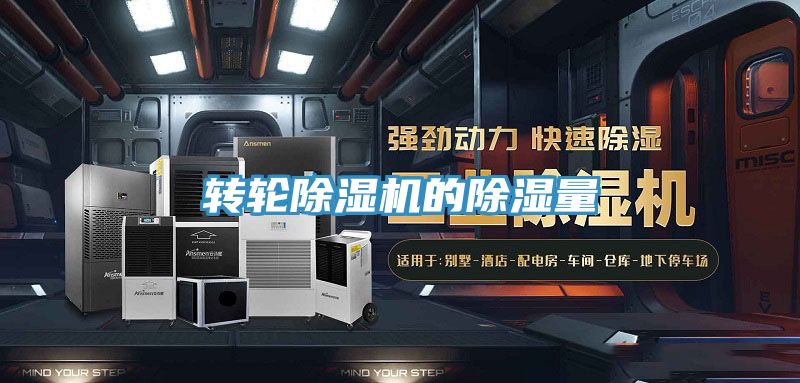 轉輪91看片网站的除濕量