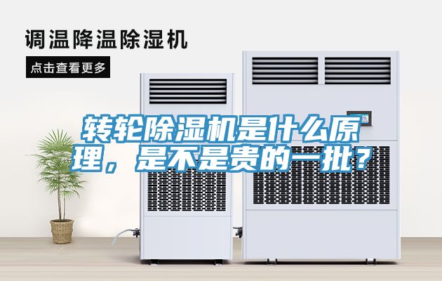 轉輪91看片网站是什麽原理，是不是貴的一批？