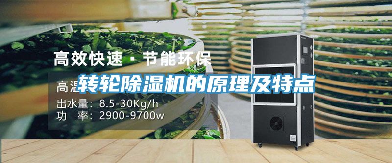 轉輪91看片网站的原理及特點