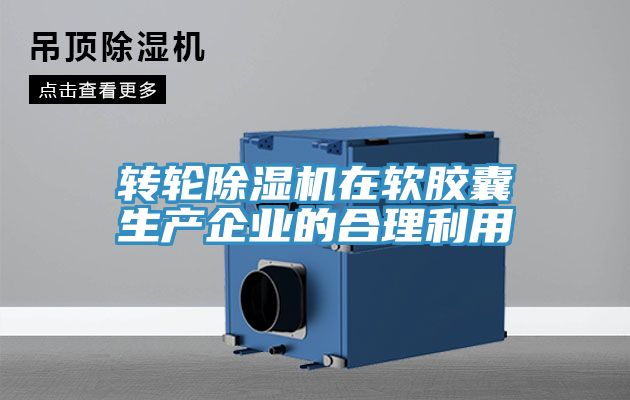 轉輪91看片网站在軟膠囊生產企業的合理利用