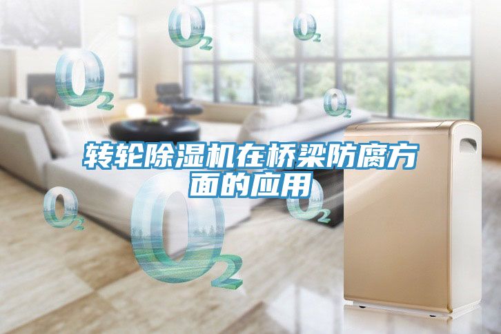 轉輪91看片网站在橋梁防腐方麵的應用