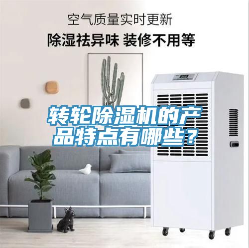 轉輪91看片网站的產品特點有哪些？