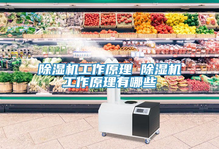 91看片网站工作原理 91看片网站工作原理有哪些