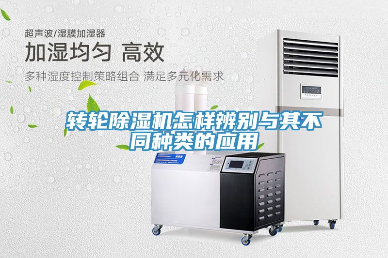 轉輪91看片网站怎樣辨別與其不同種類的應用