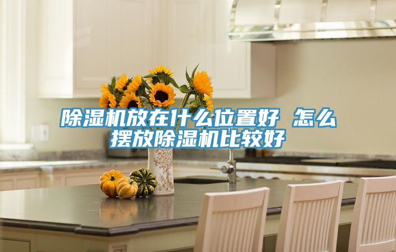 91看片网站放在什麽位置好 怎麽擺放91看片网站比較好