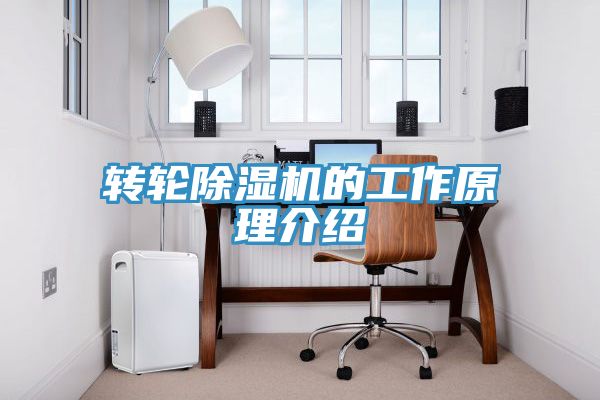 轉輪91看片网站的工作原理介紹