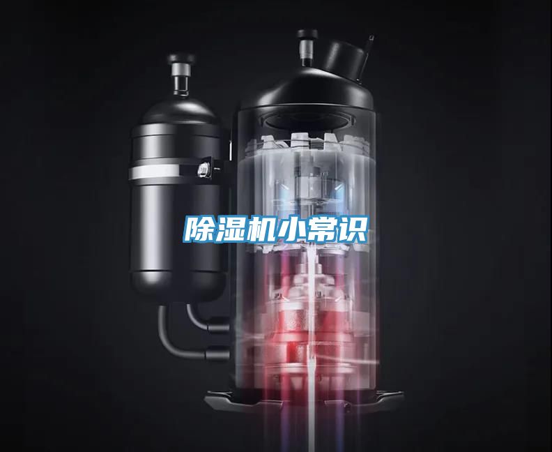91看片网站小常識