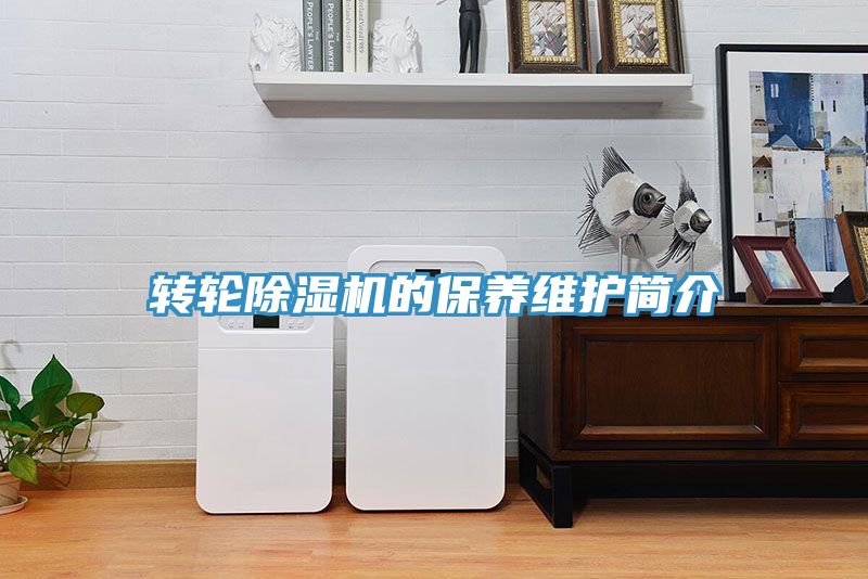 轉輪91看片网站的保養維護簡介