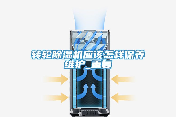 轉輪91看片网站應該怎樣保養維護_重複