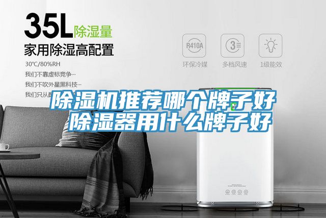 91看片网站推薦哪個牌子好 除濕器用什麽牌子好