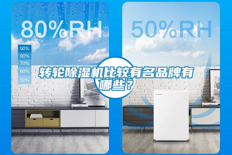 轉輪91看片网站比較有名品牌有哪些？