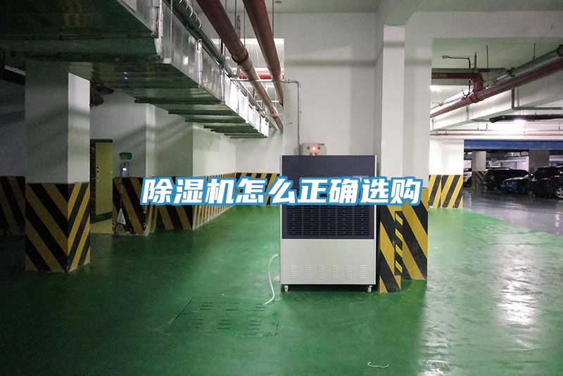 91看片网站怎麽正確選購