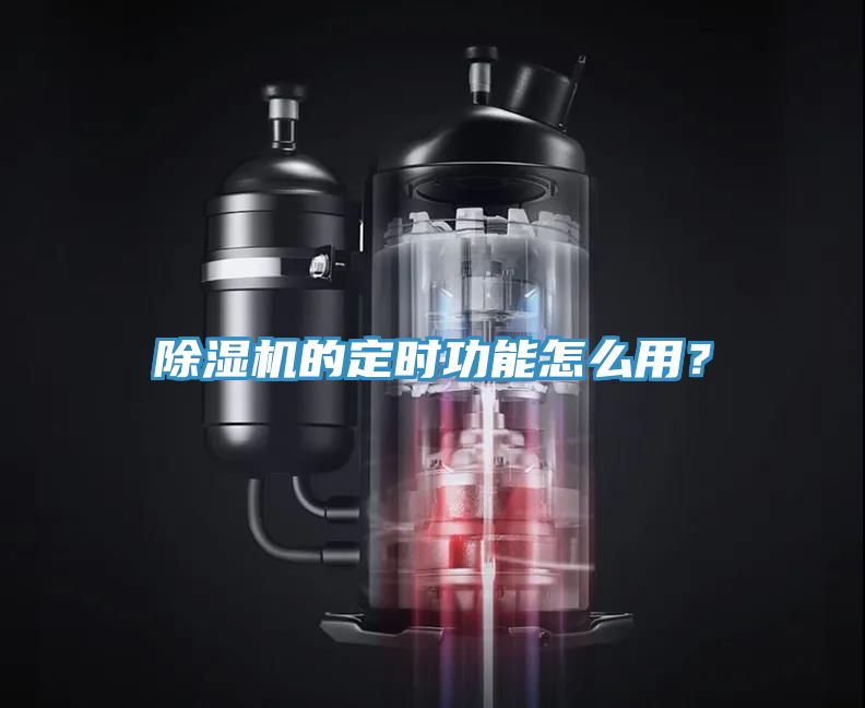 91看片网站的定時功能怎麽用？