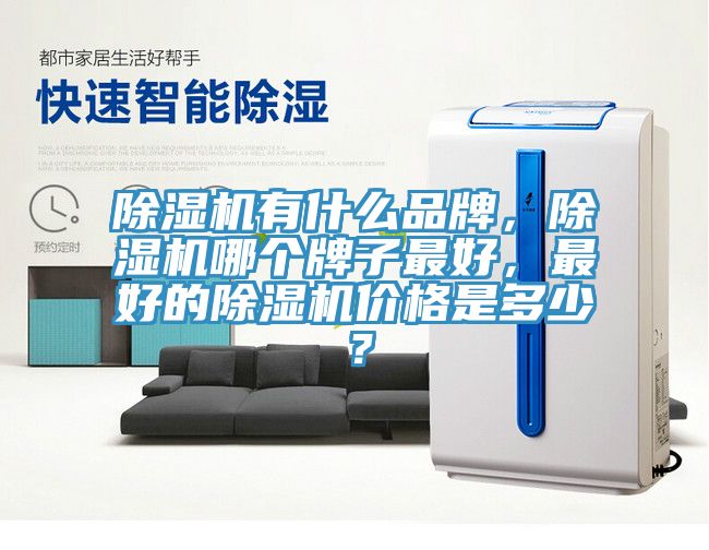 91看片网站有什麽品牌，91看片网站哪個牌子最好，最好的91看片网站價格是多少？