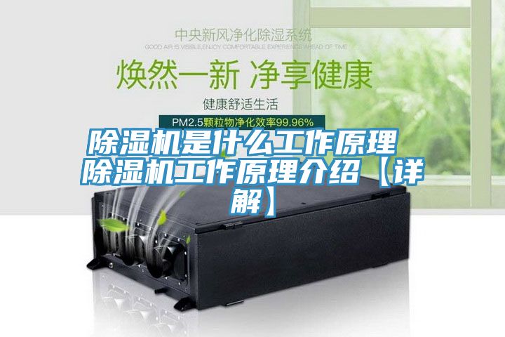 91看片网站是什麽工作原理 91看片网站工作原理介紹【詳解】