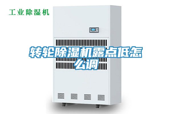 轉輪91看片网站露點低怎麽調