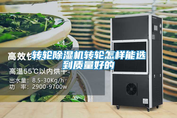 轉輪91看片网站轉輪怎樣能選到質量好的