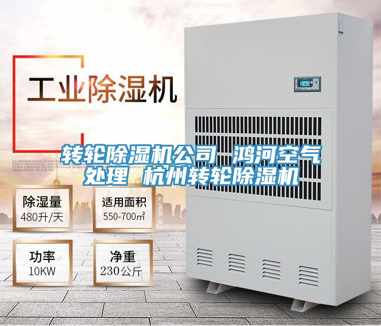 轉輪91看片网站公司 鴻河空氣處理 杭州轉輪91看片网站