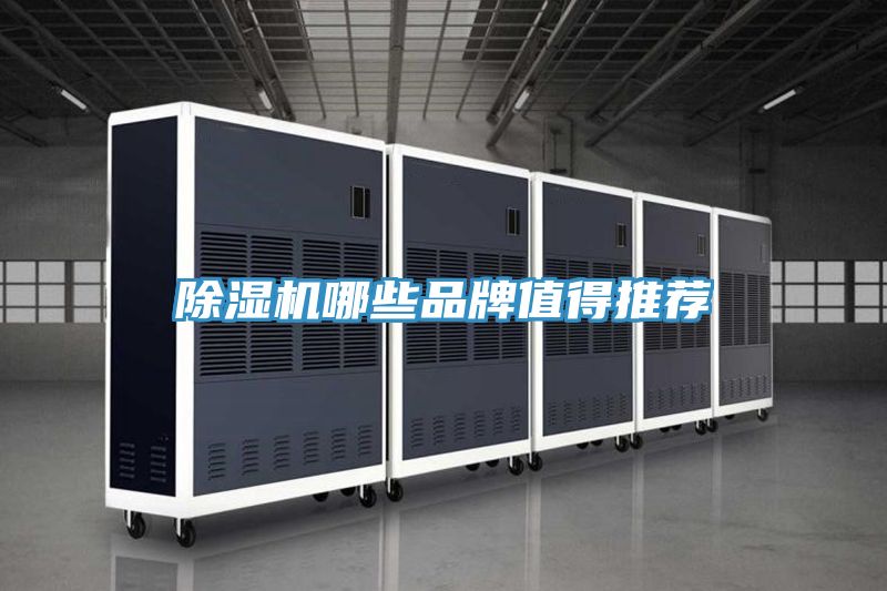 91看片网站哪些品牌值得推薦
