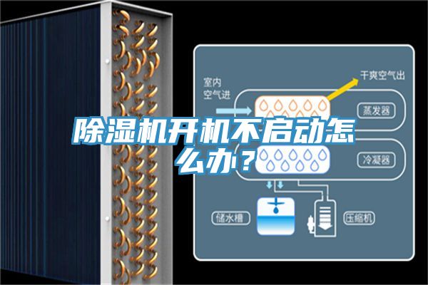91看片网站開機不啟動怎麽辦？
