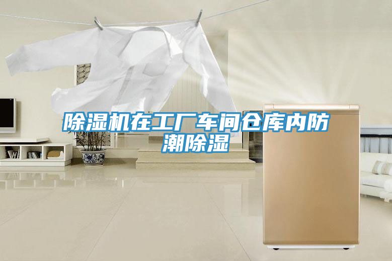 91看片网站在工廠車間倉庫內防潮除濕